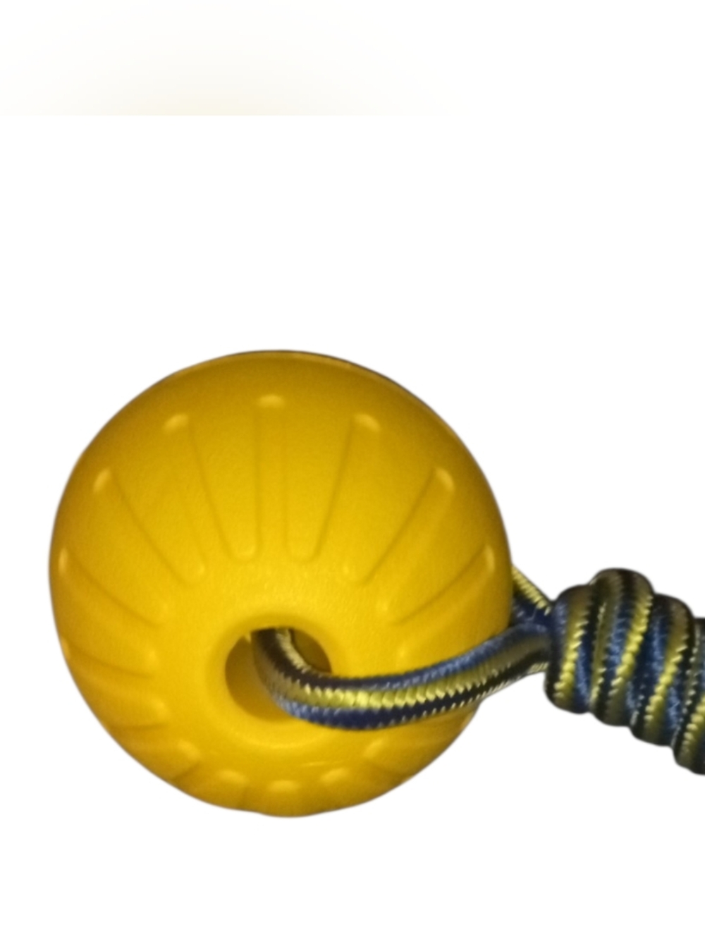 New Lightweight Floating Dog Toy With Rope